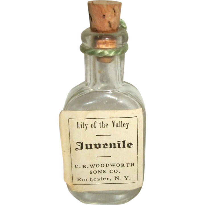 Juvenile - Lily of the Valley